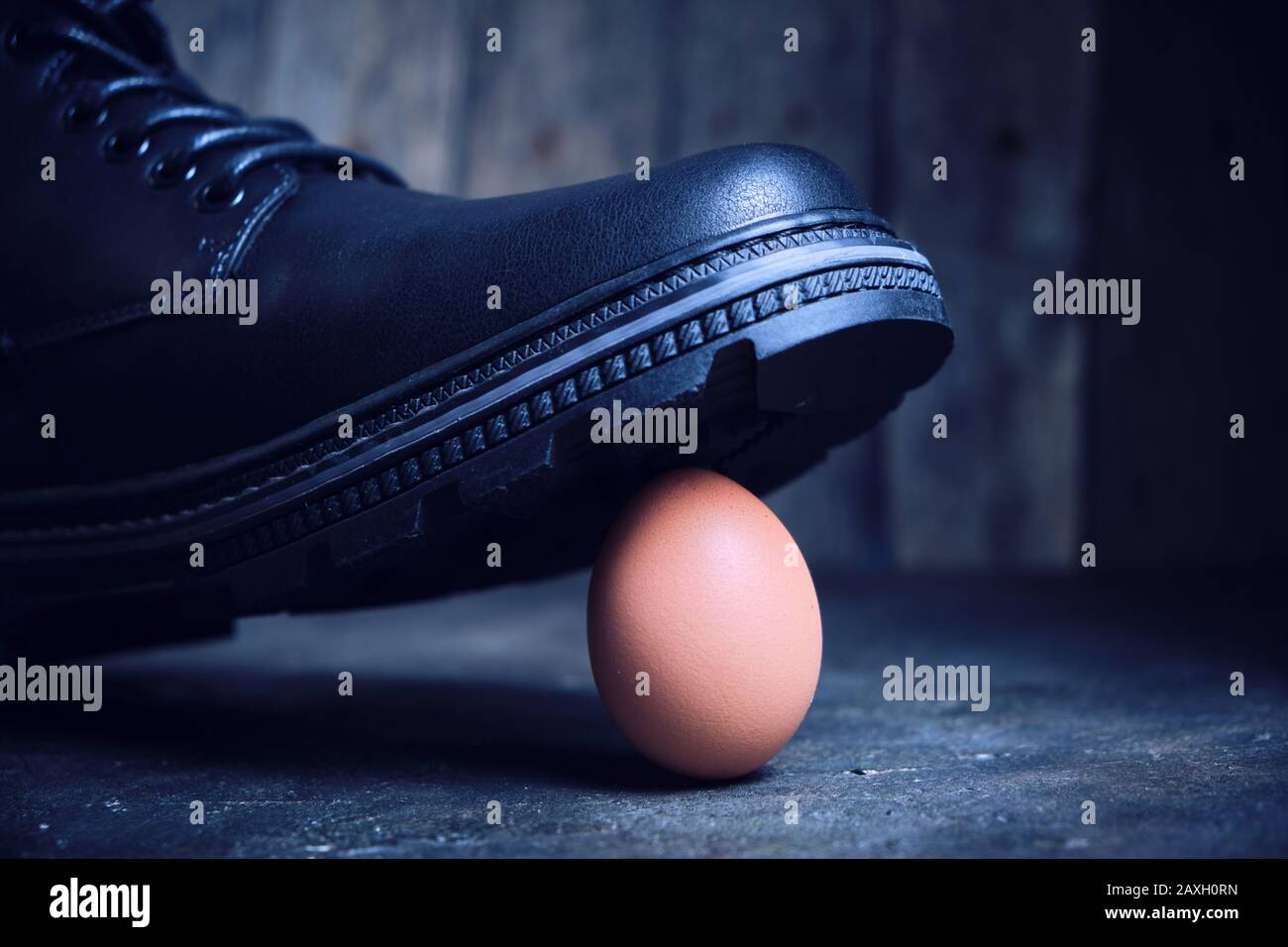 Schwarzer Stiefel tritt auf ein zerbrechliches Hühnerei. Das Konzept, der  schwache wehrlose Stockfotografie - Alamy