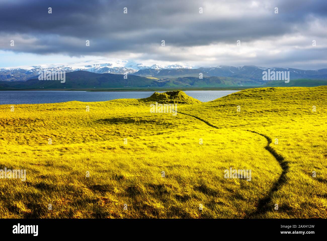 Wunderschöne Landschaft in Island mit grünem Rasenfeld, blauem See und schneebedeckten Bergen im Hintergrund. Island, Europa Stockfoto