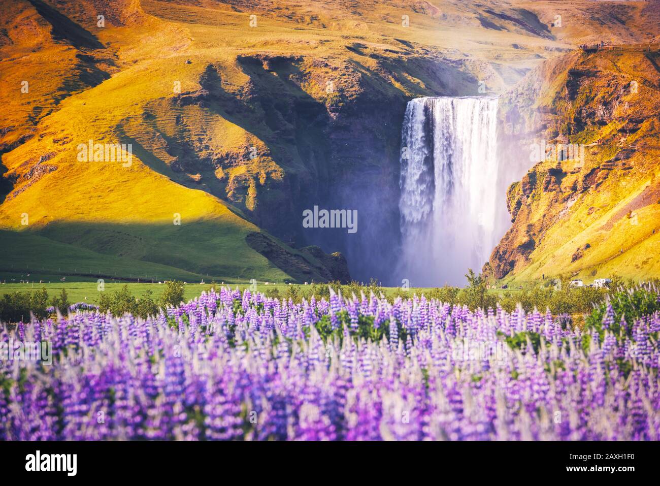 Fantastische Landschaft mit dem berühmten Wasserfall Skogafoss am Skoga-Fluss. Island, Europa Stockfoto