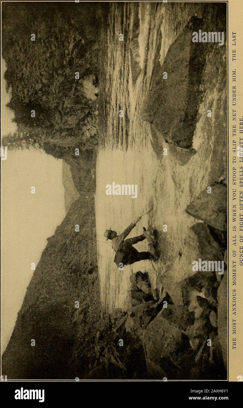 Outing. TWOS FIRMA BEIM FISCHEN NUR, WENN JEDER DEN ANDEREN RAUM ZUM TISCHEN UND SPIELEN GIBT. Stockfoto