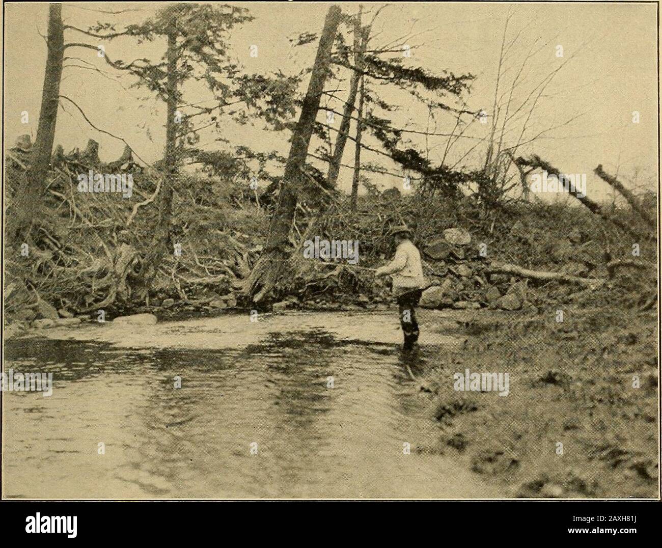 Outing. Seine Fliegen durch Schleudern oder Summen über die Oberfläche des Stroms, also, wie es ihm scheint, imitieren in höchst befriedigender Weise die hektischen Bemühungen eines schiffbrüchigen Insekts, einem wässrigen Grab zu entkommen. Nicht nur wird der Anfängerskitter über den Strom gleiten, Aber er wird oft, manchmal auch religiös bei jeder Besetzung, sie auch direkt flussaufwärts ziehen; es ist offensichtlich notwendig zu sagen, dass die Natürlichkeit eher selten beobachtet wird, um so etwas zu tun. Wenn der Neuling das nächste Mal Fischfang macht, wird er sich Mühe geben, den Weg der natürlichen Fliege auf dem Wasser zu notieren. Stockfoto
