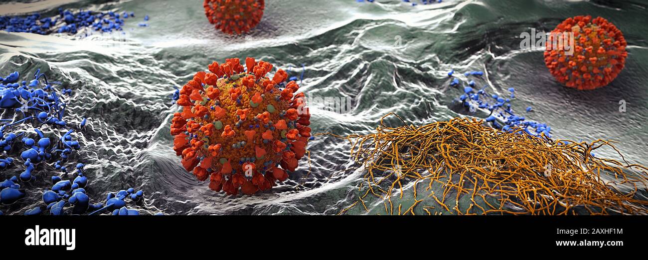 Viren, die Infektionen verursachen, gesundheitsgefährdendes Coronavirus Stockfoto