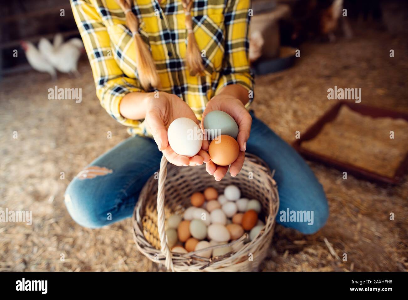 Stolze Hühnerfarmer, die die Eier zeigen, die ihre Hennen produziert haben Stockfoto