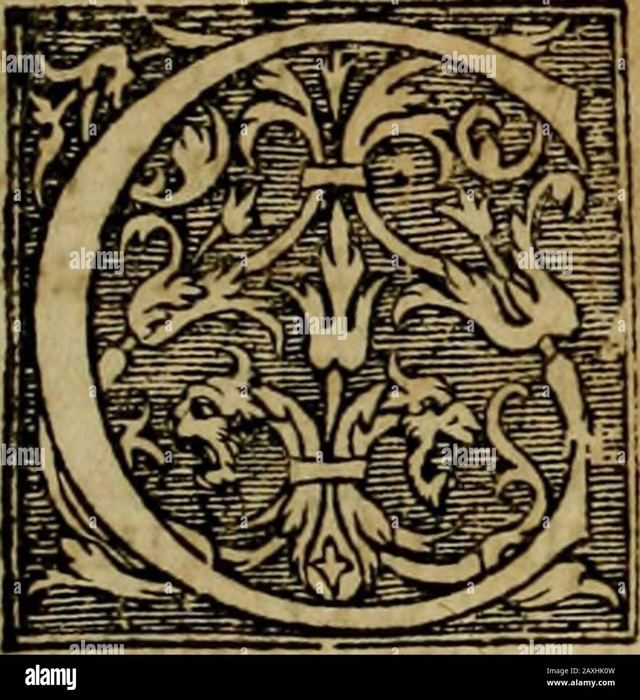 Americae pars qvinta Nobilis & admiratione plena Hieronymi Bezoni Mediolanensis, secundae sectionis hiãHispanorum: tùm in Nigrittas seruos suos, tùm in Indos crudelitatem, Gallorumq pirataru de Hispanis tobies reportata spolia: Aduentu Item Hispanoru in Nouam Indiae continentis Hispaniam, eorumq contra incolas eius regions saeuitiam explicans addita ad singula fere capita scholia, in quibus res Indiae luculenter exponuntur : accessit praeterea tabula chorographica nouae hispaniae in India Occidentalj: aes is a. OVA CROCODILORVM E Stockfoto