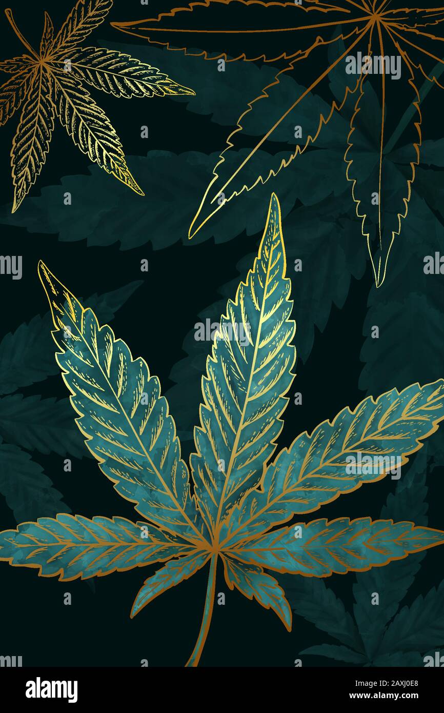 Wunderschönes Muster aus goldtürkisfarbenen Cannabisblättern. Muster aus türkisfarbenem oder grünem Marihuana-Blatt auf schwarzem Hintergrund. Moderne Illustration im Vintage Stock Vektor