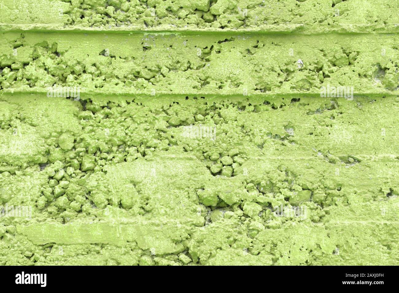 Grüne Grunge Wandtextur. Rauer grunziger Hintergrund. Nadelbaum grüner Schatten. Stockfoto