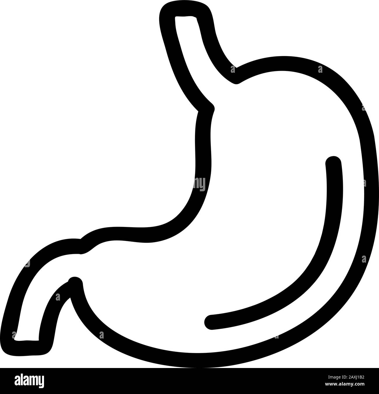 Vektor des Magensymbols. Dünnes Linienschild. Isolierte Darstellung des Kontursymbols Stock Vektor