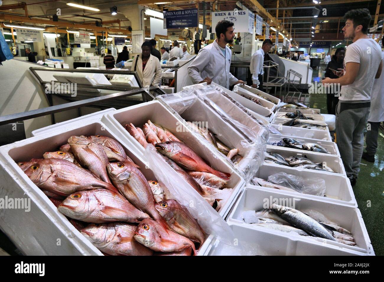 LONDON, Großbritannien - 8. JULI 2016: Händler verkaufen Meer Essen in Billingsgate Fish Market in London, UK. Der Markt befindet sich an der Insel Hunde entfernt und ist einer der größten Stockfoto