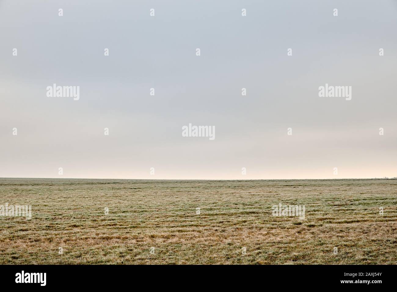 Moody abstrakte Landschaft mit Wiese im Vordergrund und grauem Himmel mit hohem Nebel im Hintergrund in die Landschaft geschossen. In Bayern, Deutschland, gesehen Stockfoto