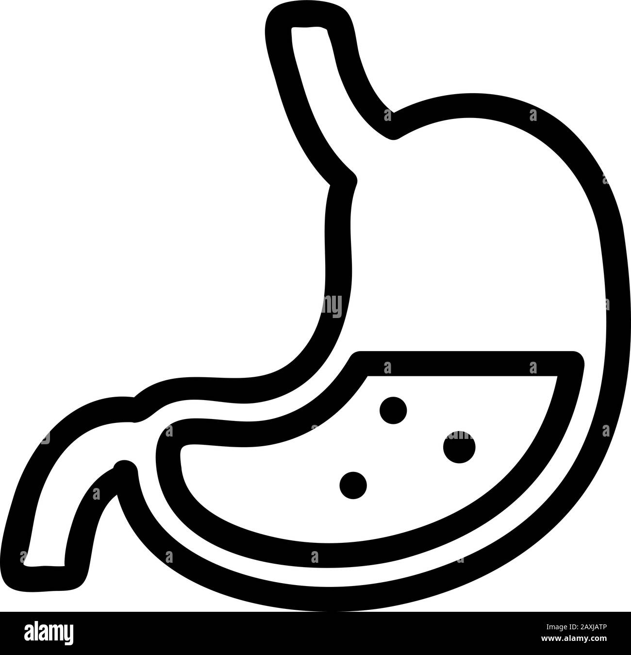 Vektor des Magensymbols. Isolierte Darstellung des Kontursymbols Stock Vektor