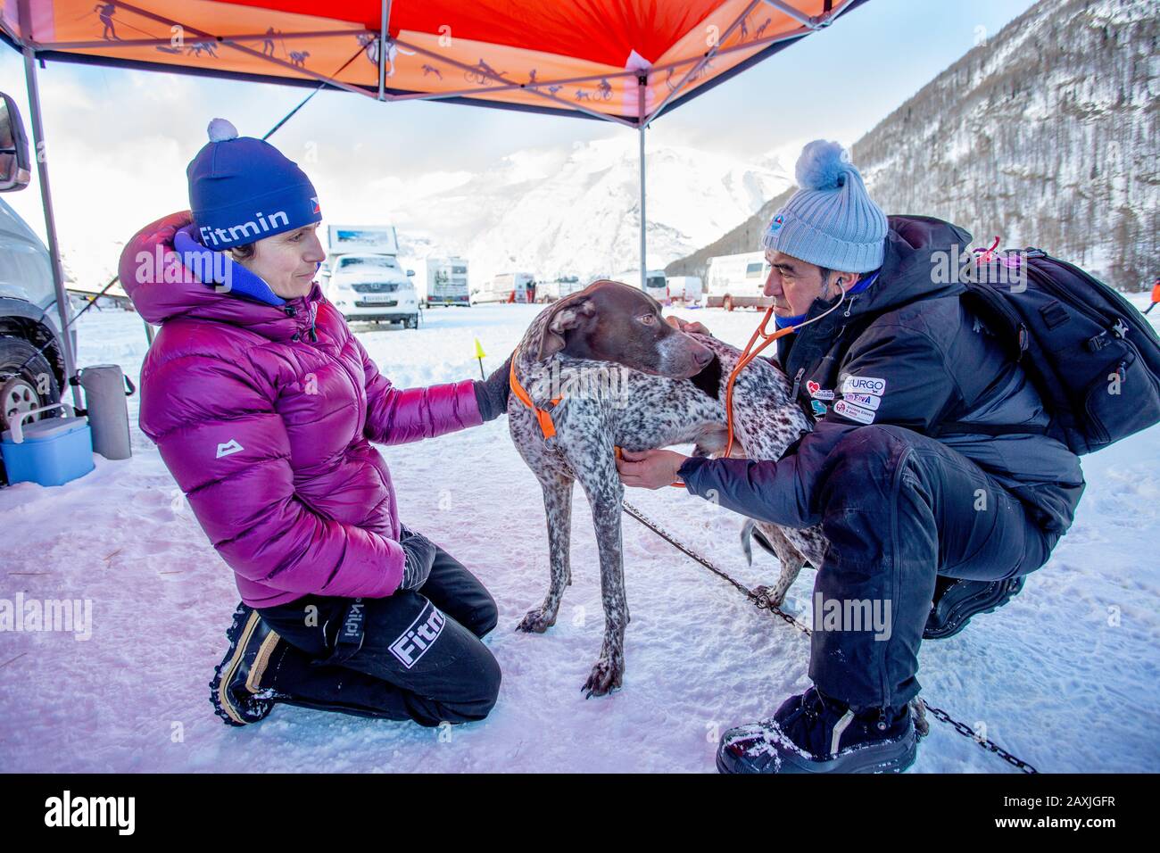 Frankreich, Bessans - 28. Januar 2019: Weltmeisterschaften im Sleddog-Sport. Der Tierarzt inspiziert den Hund vor Beginn der Wettkampfphase. Stockfoto