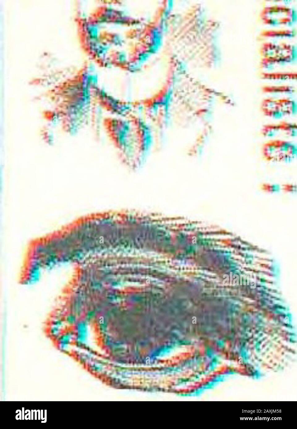 Ti5 Stockfotos Und Bilder Kaufen Seite 2 Alamy