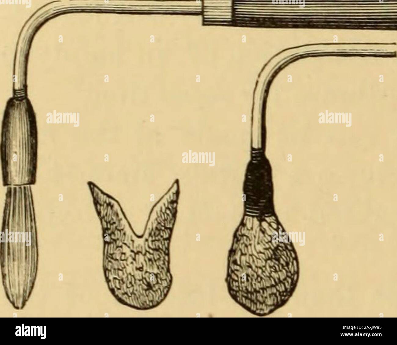 Erkrankungen des Rachens und der Nasengänge; ein Leitfaden zur Diagnose