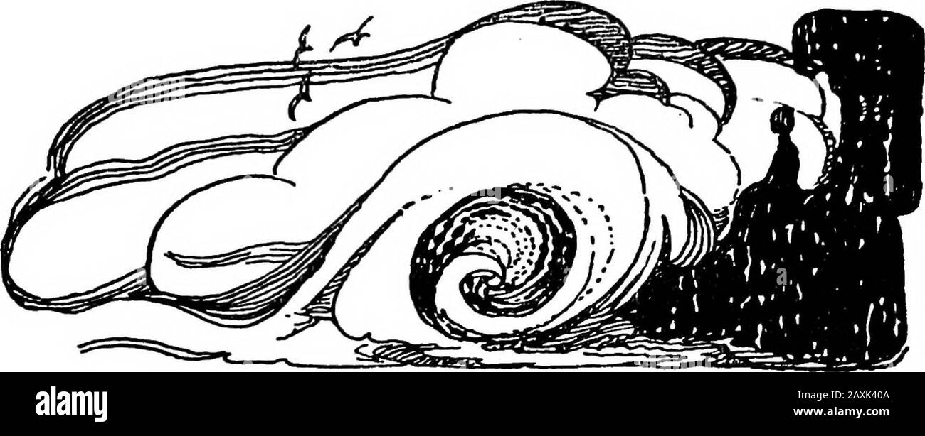 Gedichte aus den Werken von Charles Cotton; neu dekoriert von Claud Lovat Fraser. 38. WINTERHARK, Hark, ich höre den Nordwind brüllen, Sehen Sie, wie er auf dem Shoar Krawalle;Und, mit Expanded Wings at Stretch, RuflFels The Billows on the Beach. Hark, wie sich die gerouteten Wellen beschweren.Und fordern Sukkkor zum Main, Flying the Storm, als ob sie MeantTo auf den Kontinent kriechen. Sicherlich trafen sich alle jEous, die BroodAre husten, zum Krieg gegen die Flut, Was überraschend scheint, und haben nicht yetHad Zeit seine Abgaben an compleat. Stockfoto