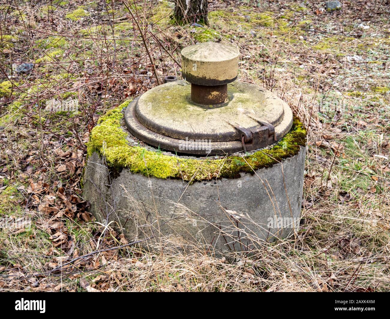 Bunkereingang im Wald Stockfoto
