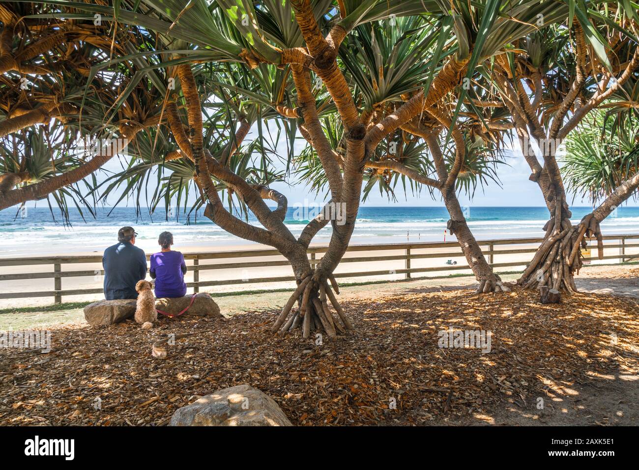 Australien, Queensland, Noosa, Strand, Touristen Stockfoto