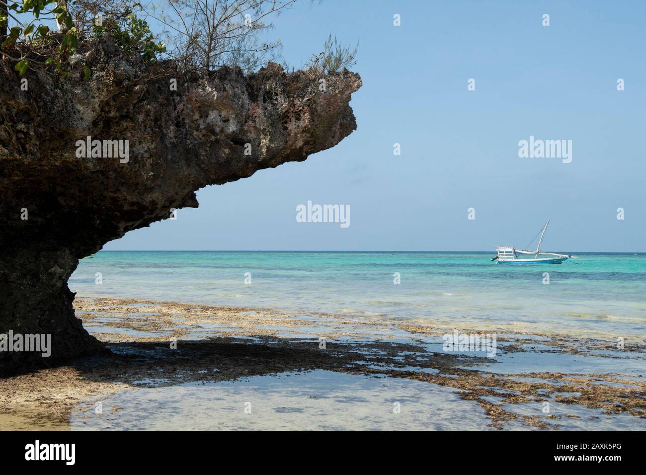 Korallenvorsprung, Pemba Island, Sansibar-Archipel, Tansania Stockfoto