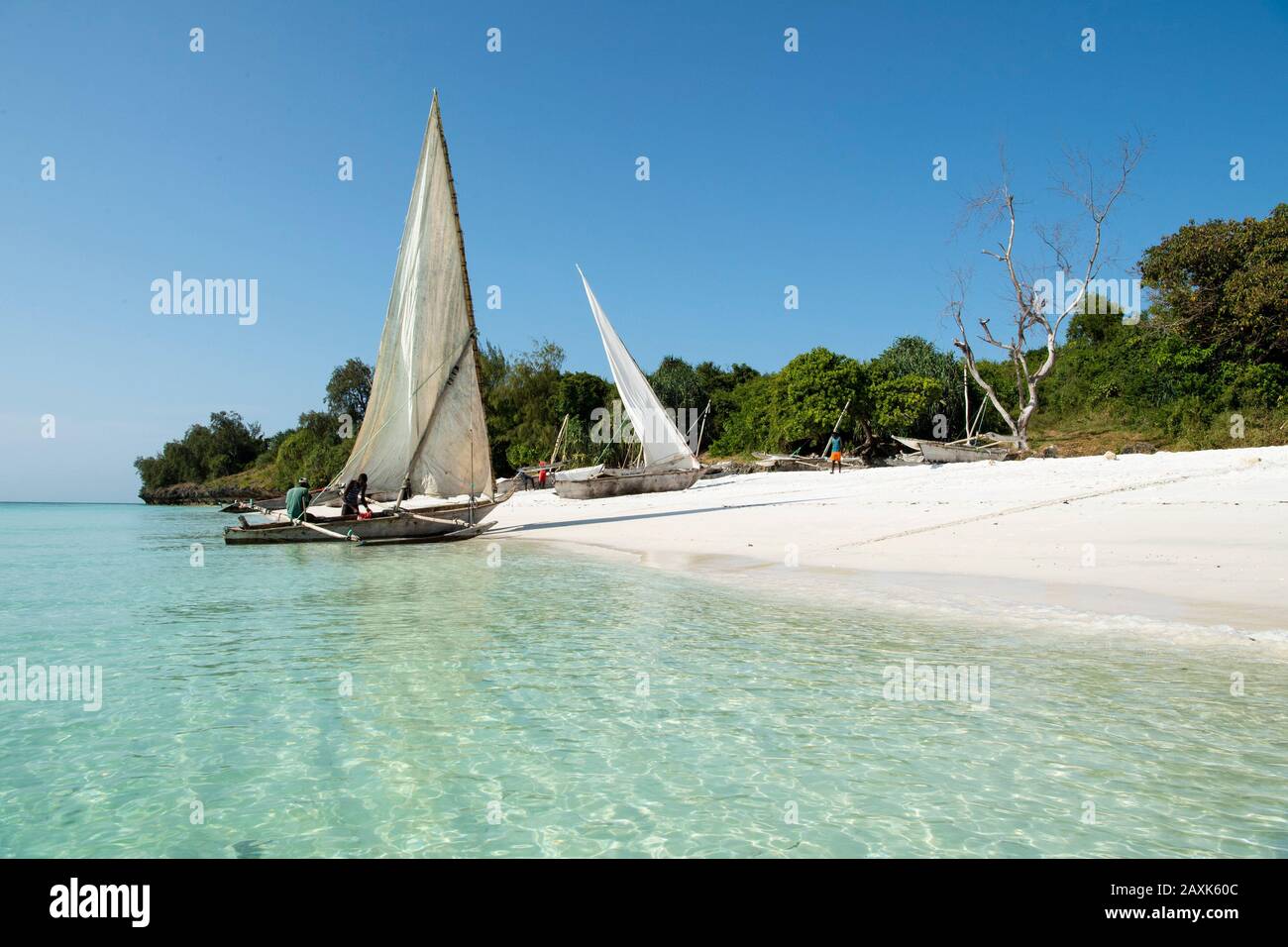 Dhows am Strand, Pemba Island, Sansibar-Archipel, Tansania Stockfoto