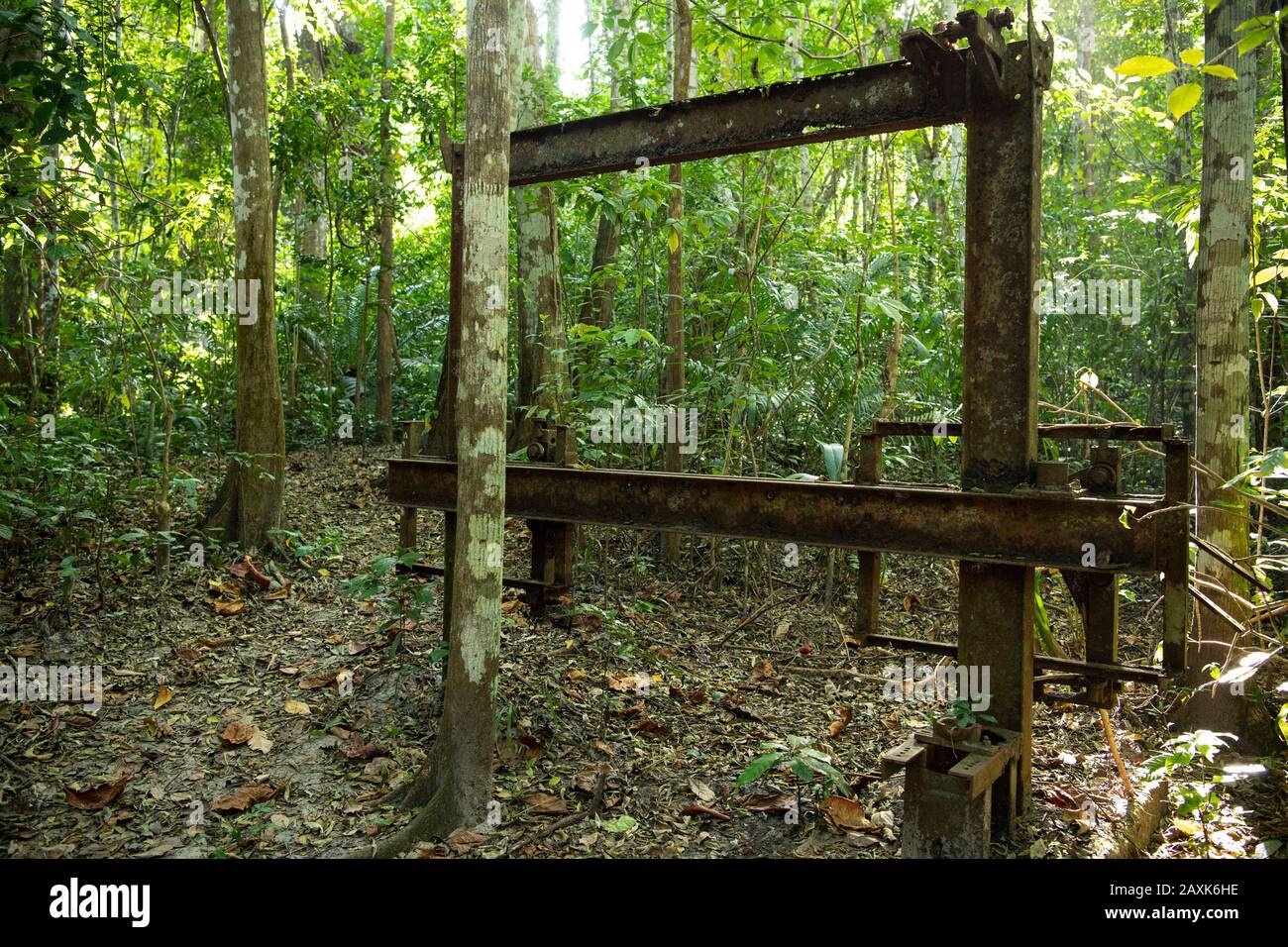 Joshi Remnants, Überbleibsel der kolonialen Sägemühle, Ngezi Forest Reserve, Pemba Island, Sansibar Archipel, Tansania Stockfoto