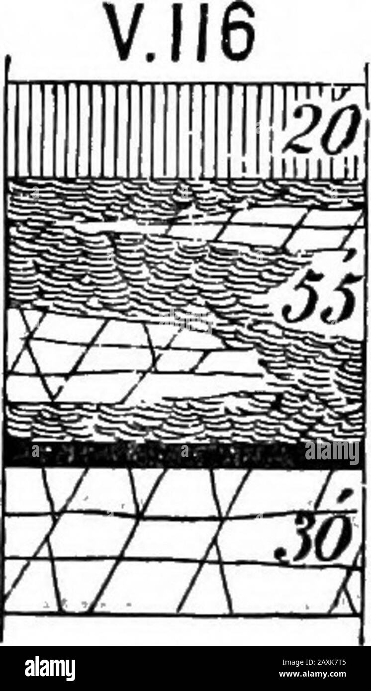 Fortschrittsbericht 1874-1889, A-Z .. . wnship. Auf der Farm von Mr. Black, die drei Viertel Kilometer nördlich von McMurrys Mills liegt, wird sie in einem abrupten Escarpment und Rock City finelyexponiert. Largeblocks von 12 bis 15 Fuß Höhe und von 10 bis 20 Fuß Quadratfuß bedecken den Boden unter dem Ausläufer und geben ihm aus der Ferne ein markantes Ähnlichkeiten mit den Felsstädten aus Sandstein und Konglomerat, die in den nördlichen Grafschaften weit verbreitet sind. Es zeigt hier sein schar-charakteristisches verwelktes Aussehen, verursacht durch das verwittern seiner Wellenlinien der Schichtung. Eine genaue Messung des Stockfoto