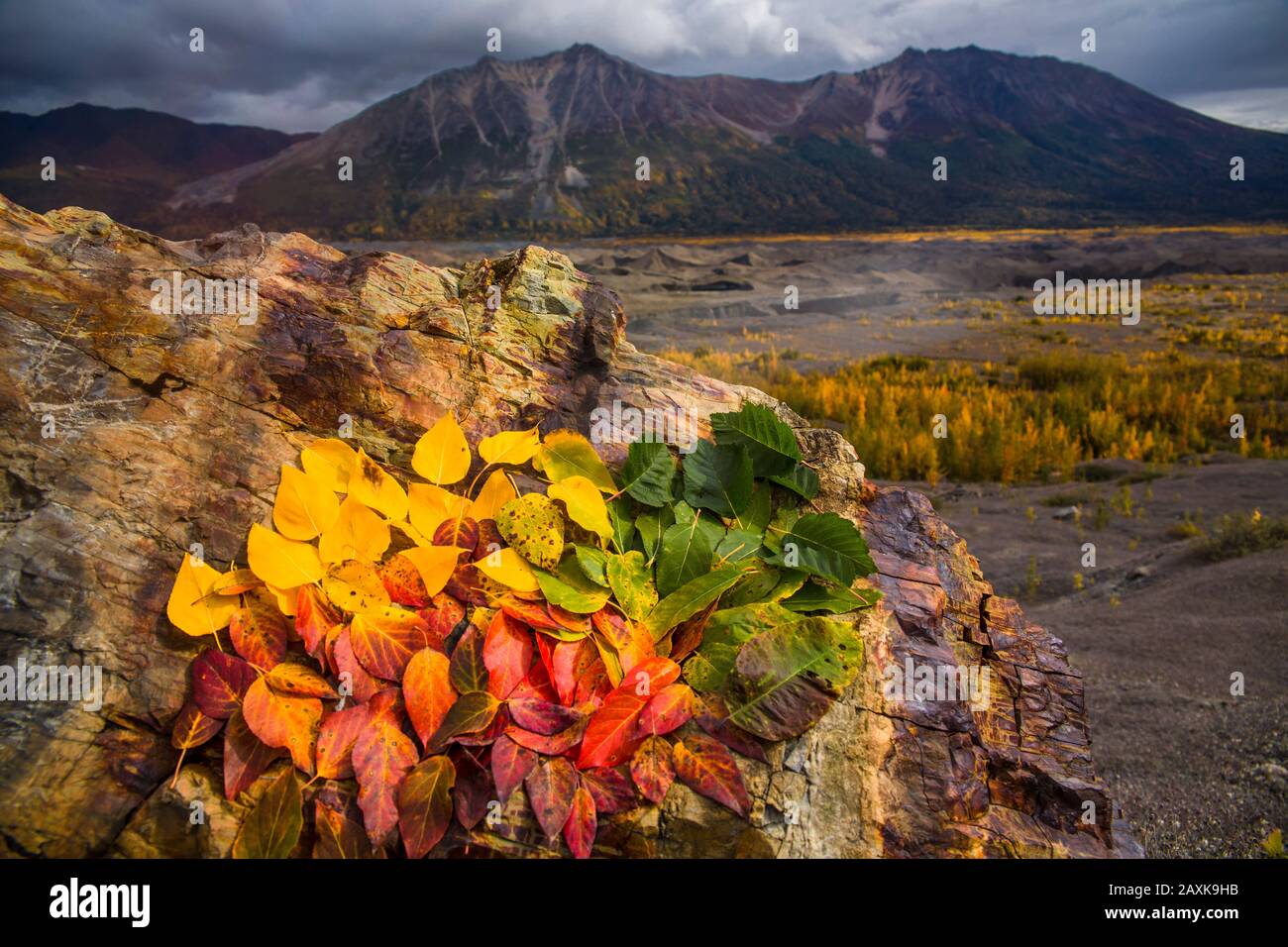 Wrangell - St. Elias NP Stockfoto