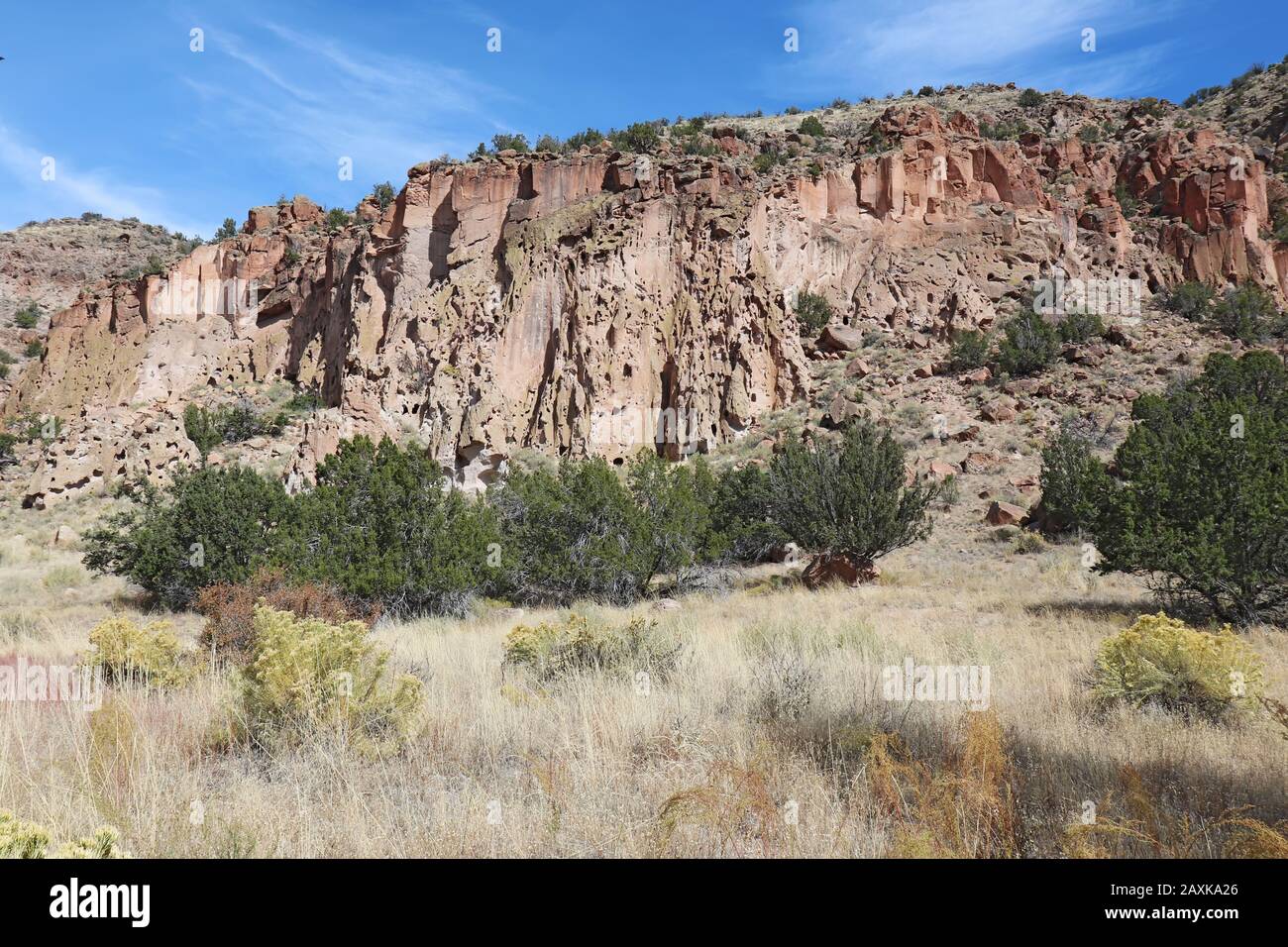 Erodierte Klippen und Herbstvegetation im Frijoles Canyon am Bandelier National Monument in der Nähe von Los Alamos, New Mexico mit hellblauem Himmel Stockfoto