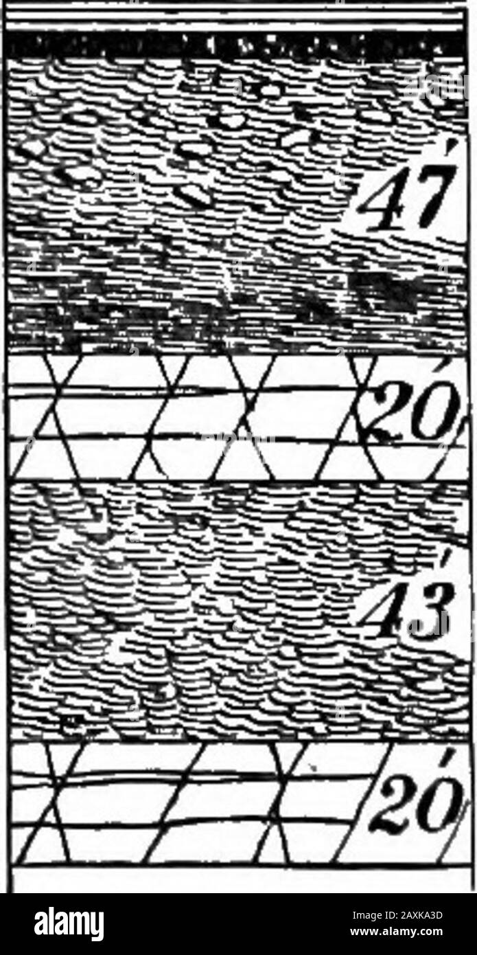 Fortschrittsbericht 1874-1889, A-Z .. . PARKER TOWNSHIP. V-117 Er hat seinen gewöhnlichen Charakter und liefert einen fairen Kalk und ist auf seiner Ausschnittlinie an fast jedem Ort in der Eigentümerschaft AC-cesibel. Die beigefügte topographische Karte von Parker (plateII,) zeigt den Ausschnitt dieser Schicht und des ClarionCoal Bettes. § 66. Mercer Group. Im unteren Teil des vorhergehenden Abschnitts sind zwei Bänder von bituminösem Schiefer dargestellt, die etwa siebzehn feetappenartige Streifen liegen. Mancherorts sind sie echte Betten von unreiner Kohle, aber immer völlig untauglich für den Bergbau. Sie sind damit Präsentatoren der Mercer Gruppe von Kohlen und Limetten Stockfoto