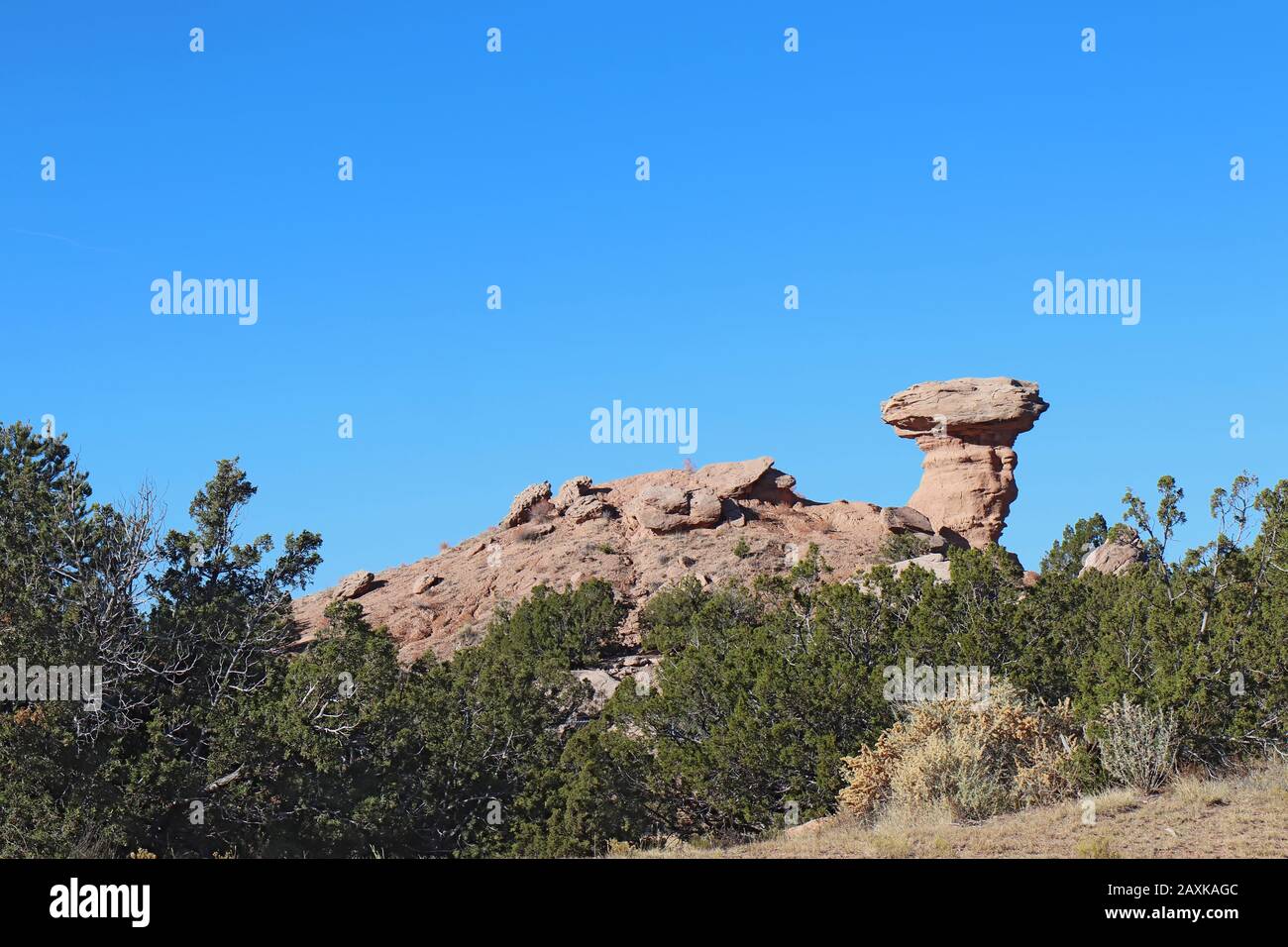 Das Wahrzeichen aus rosafarbenem Sandstein, Camel Rock, in der Nähe des Tesuque Pueblo, nur wenige Kilometer nördlich von Santa Fe, New Mexico Stockfoto