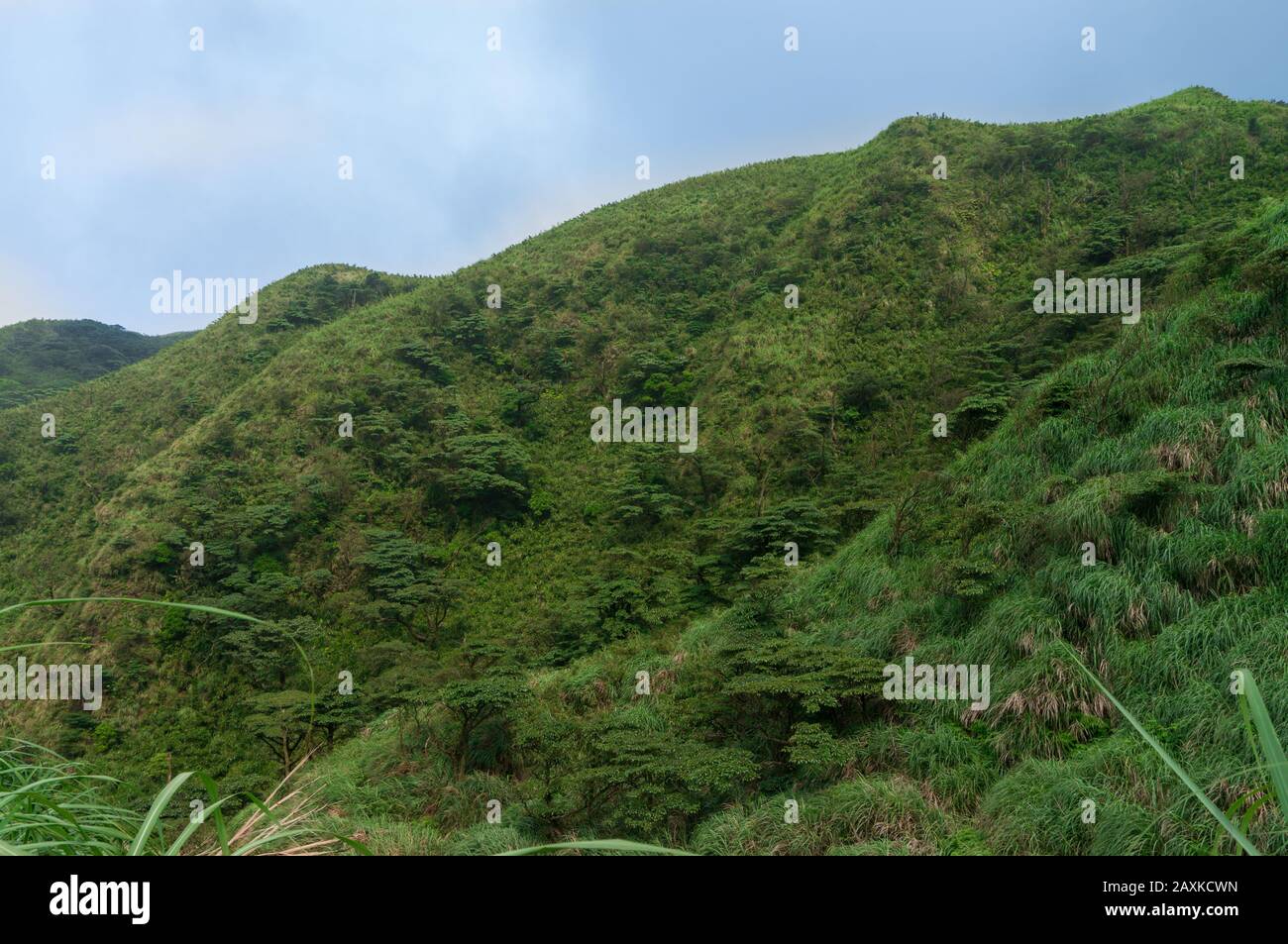 Geothermische hot spring mit Dampf und Schwefelkristalle im Sommer in Taiwan Stockfoto