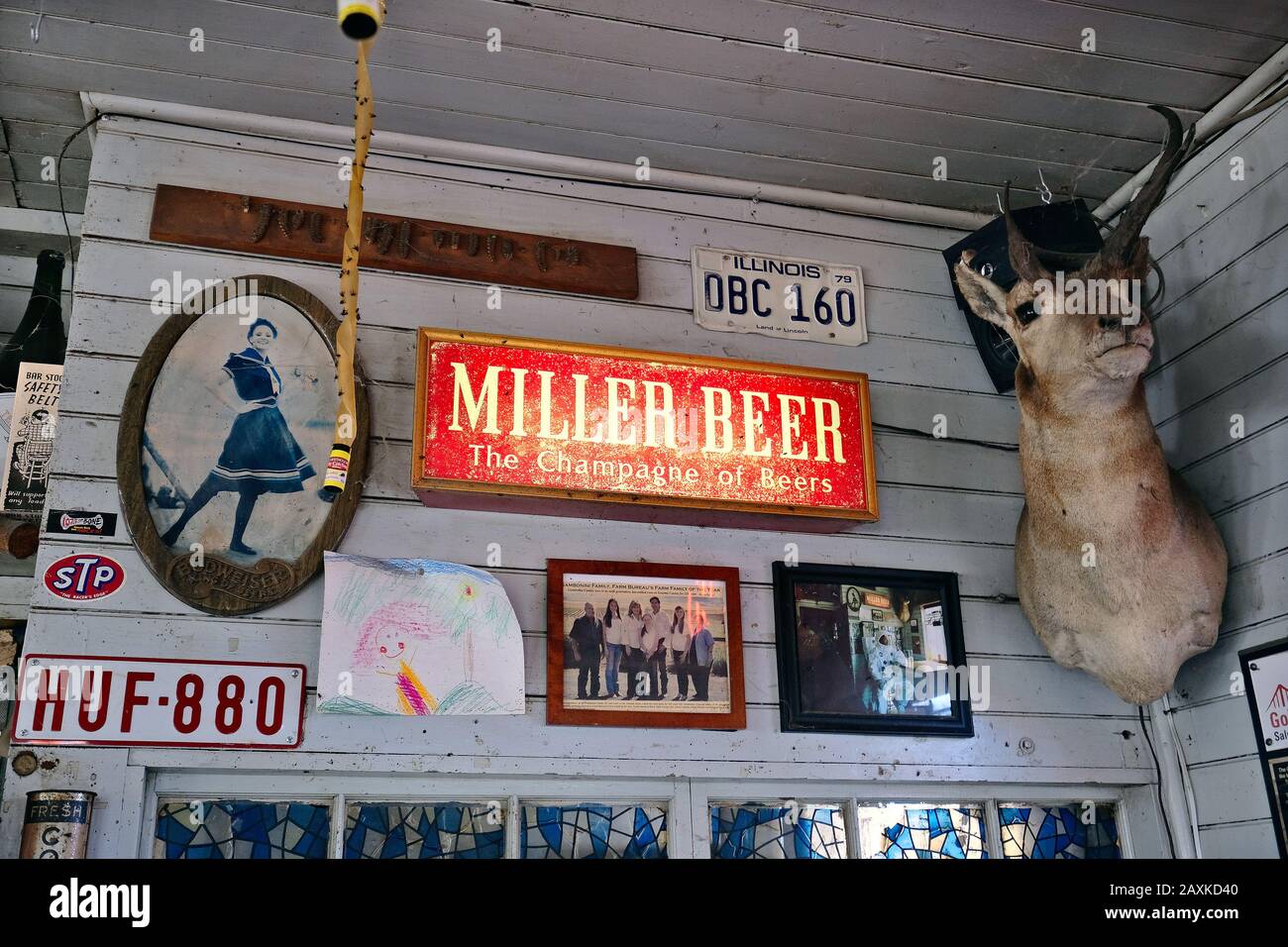 Hirschkopf und Bilder in Ernie's Tin Bar am Lakeville Highway, Petaluma, Kalifornien, USA Stockfoto