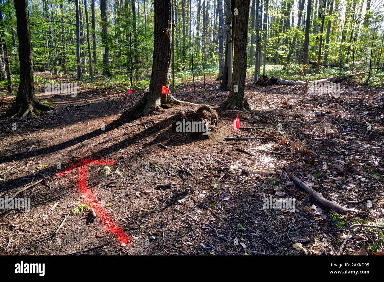 Schild und Fahne, die vor dem Baumschnitt aufstehen - Abholzung Stockfoto