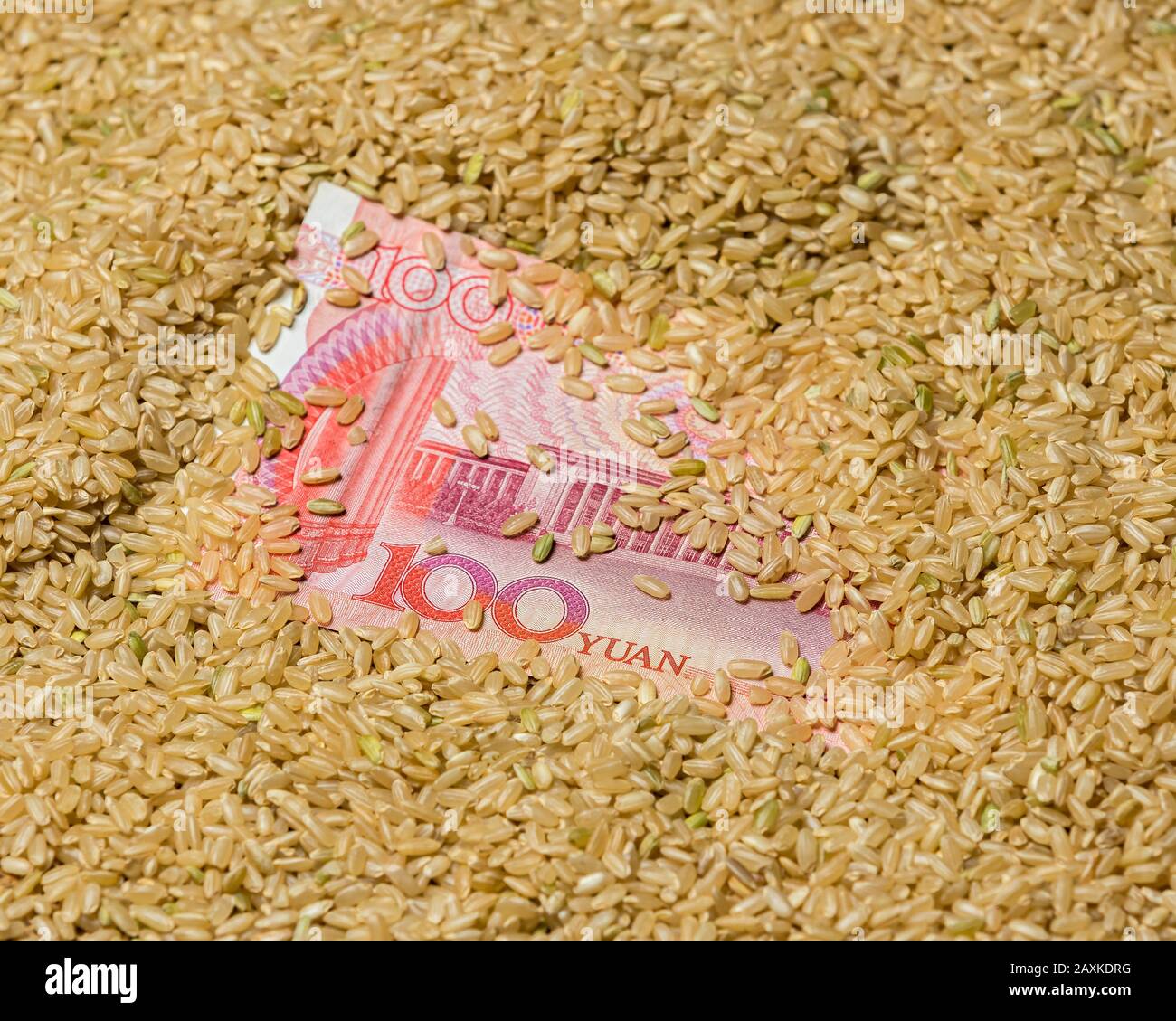 Nahaufnahme von braunem Vollkornreissamen rund um die chinesische 100 Yuan Renminbi Rechnung. Konzept der chinesischen Reisindustrie, des Handels und der Marktpreise Stockfoto