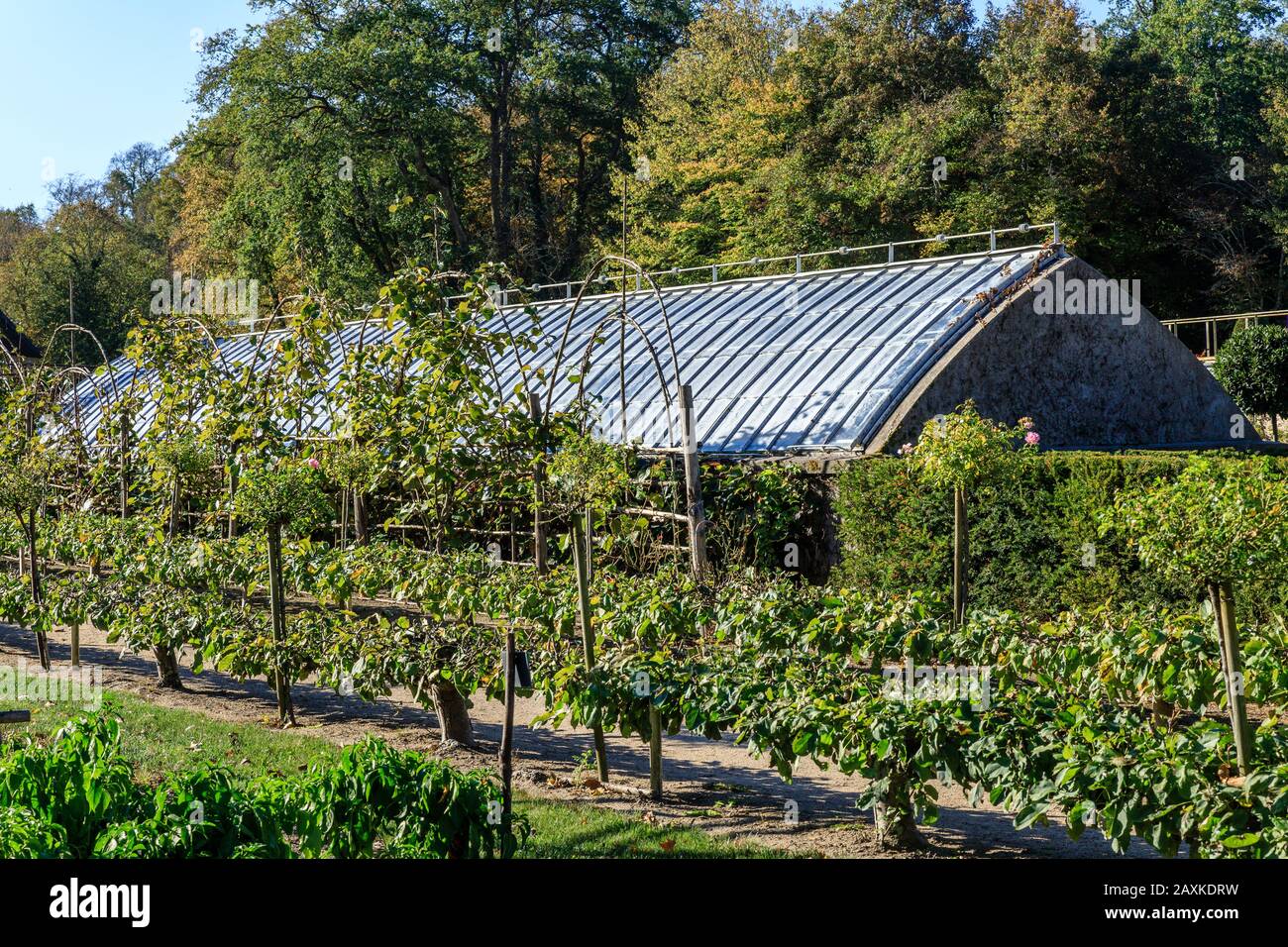 Frankreich, Indre et Loire-Tal, das von der UNESCO zum Weltkulturerbe ernannt wurde, Chenonceaux, Chateau de Chenonceau Park and Gardens, der Gemüsegarten, gr Stockfoto