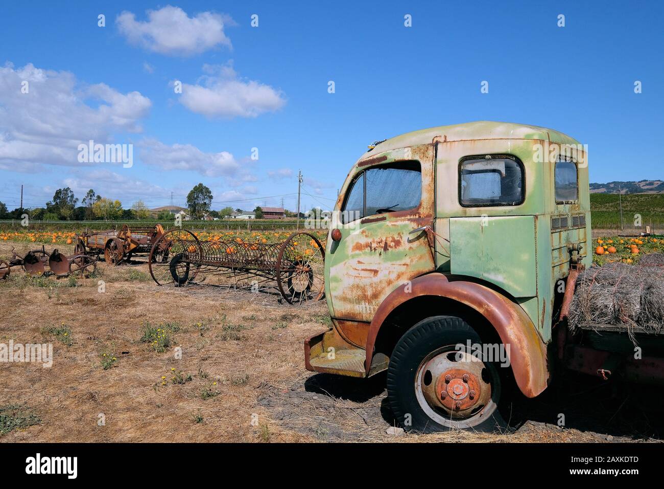 Alte Lastwagen und landwirtschaftliche Geräte auf einem Kürbisfeld im Sonoma County, Kalifornien, USA Stockfoto