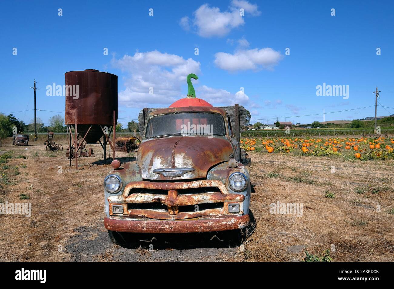 Alter Chevrolet-Pickup-Truck und landwirtschaftliche Geräte auf einem Kürbisfeld im Sonoma County, Kalifornien, USA Stockfoto