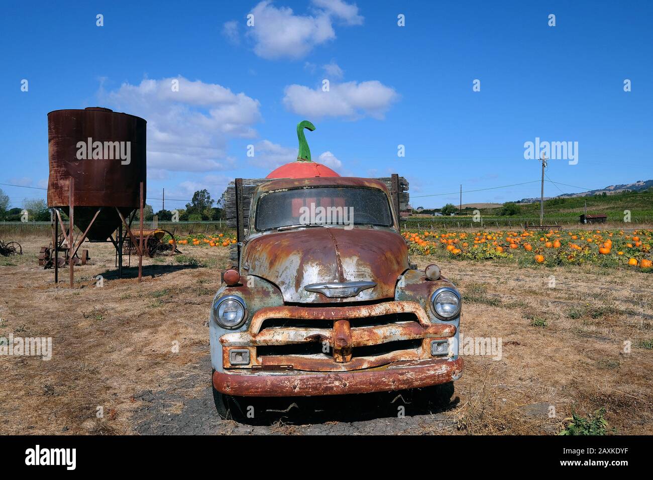 Alter Chevrolet-Pickup-Truck und landwirtschaftliche Geräte auf einem Kürbisfeld im Sonoma County, Kalifornien, USA Stockfoto