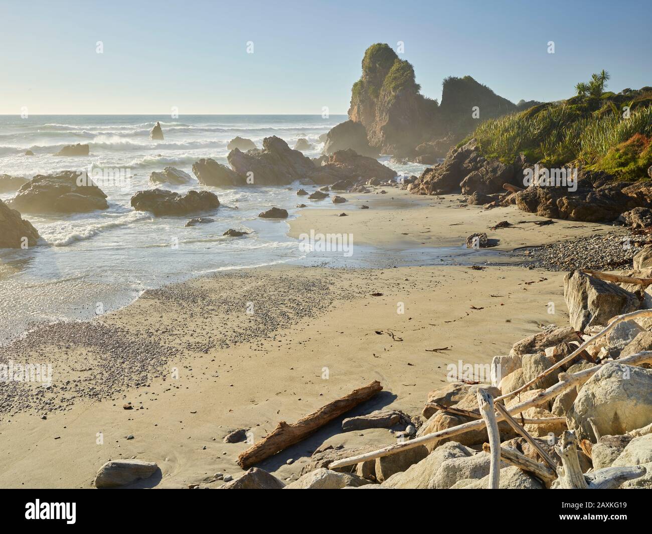 Spechtbucht, Westküste, Südinsel, Neuseeland, Oceania Stockfoto