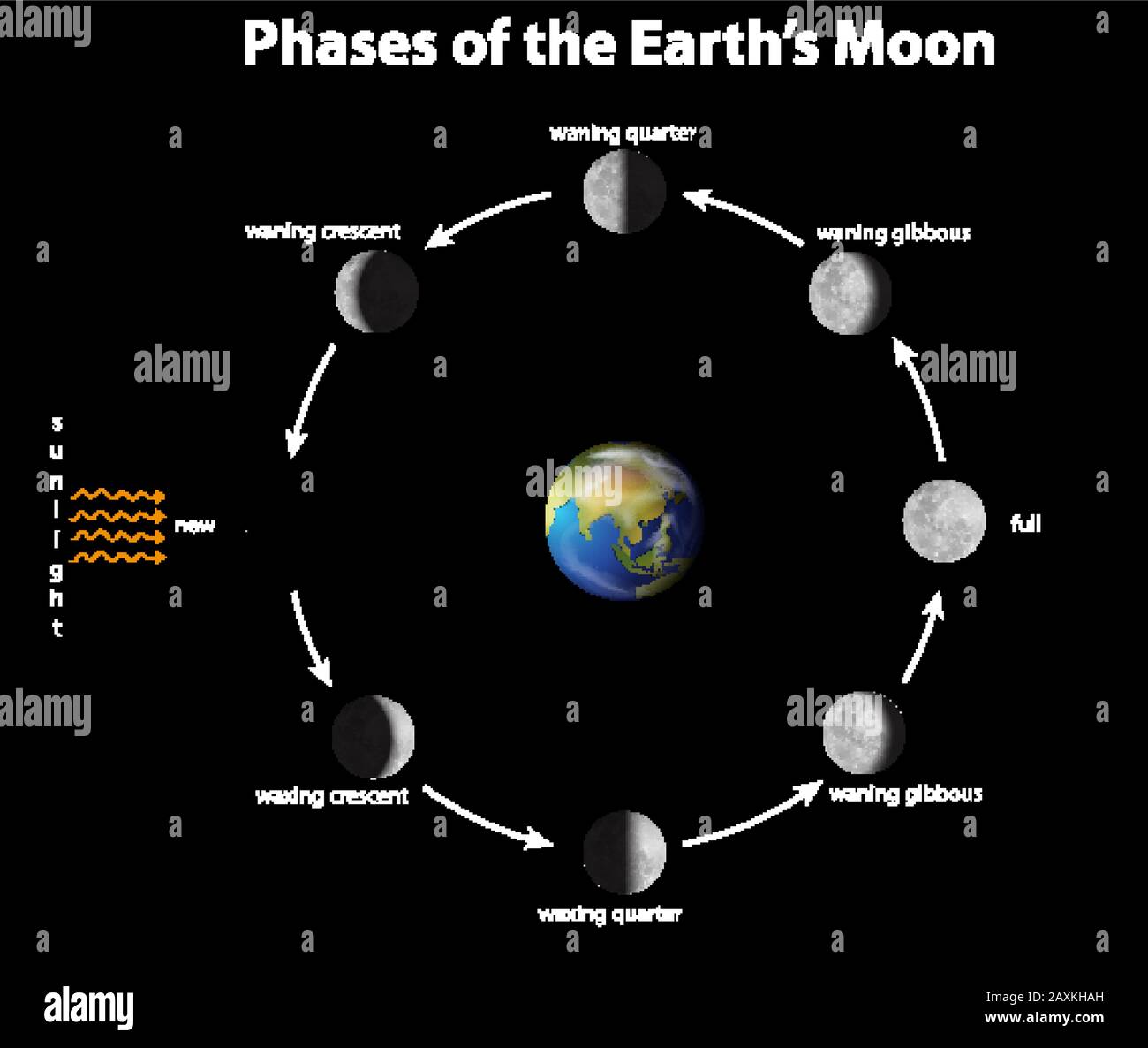 Diagramm mit Phasen der Erde Mond Abbildung Stock Vektor