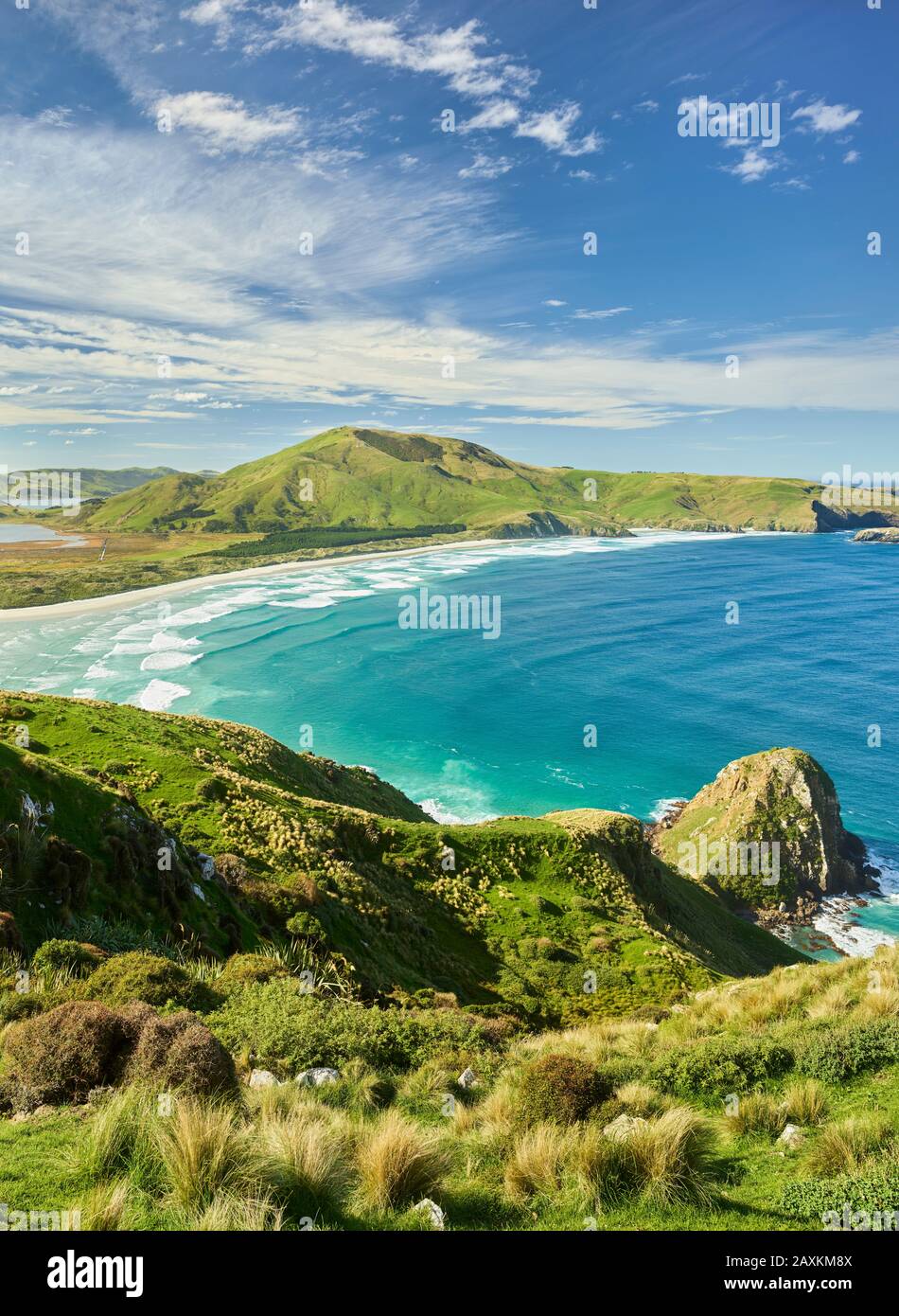 Allans Beach aus dem Sandymount Recreation Reserve, Otago, South Island, Neuseeland, Oceania Stockfoto