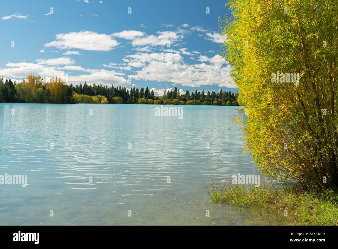 Lake Ruataniwha, Canterbury, South Island, Neuseeland, Oceania Stockfoto
