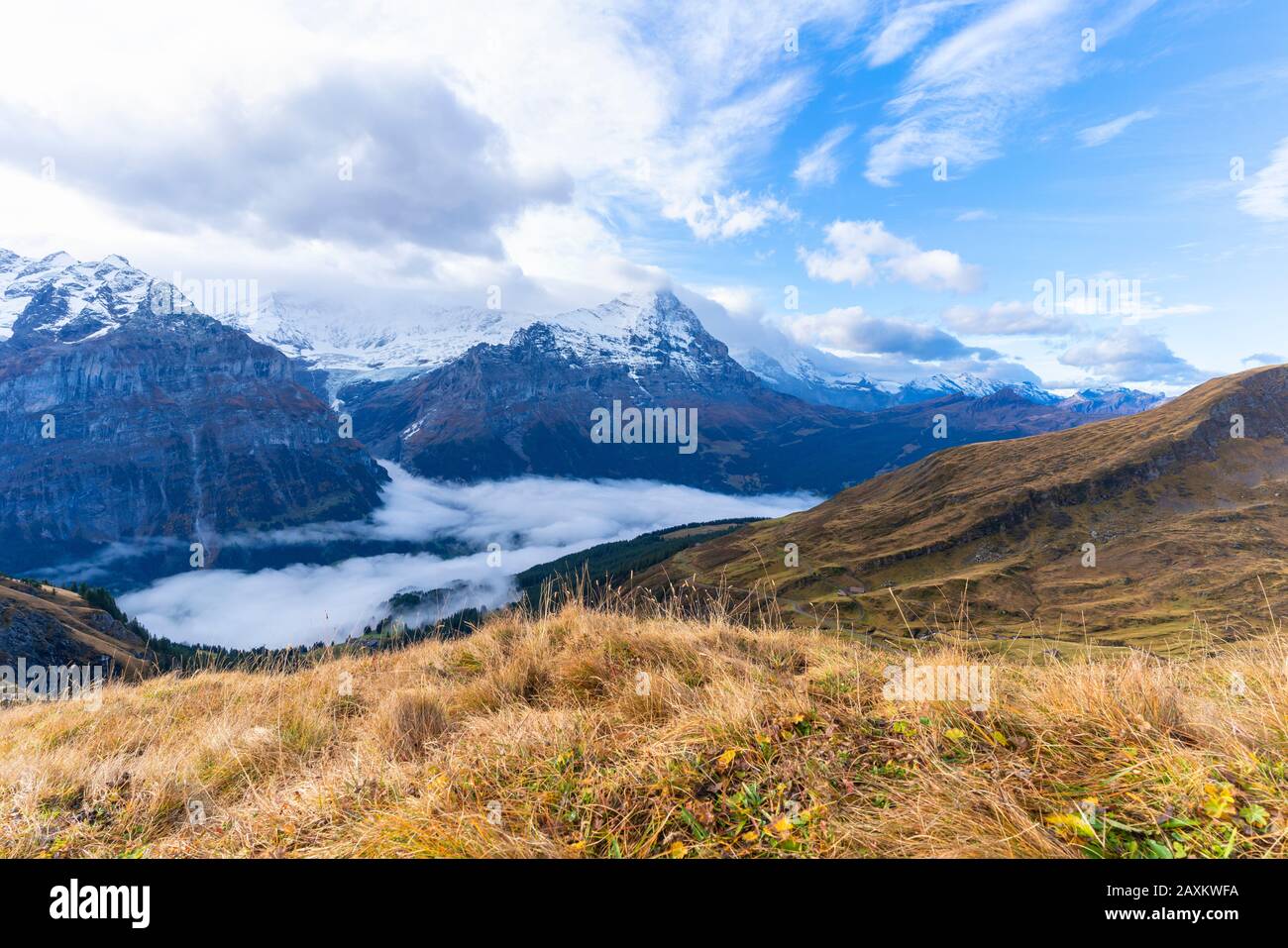 Majestätischer Eiger von den Wiesen im Herbst, Zuerst Grindelwald, Berner Oberland, Kanton Bern, Schweiz Stockfoto