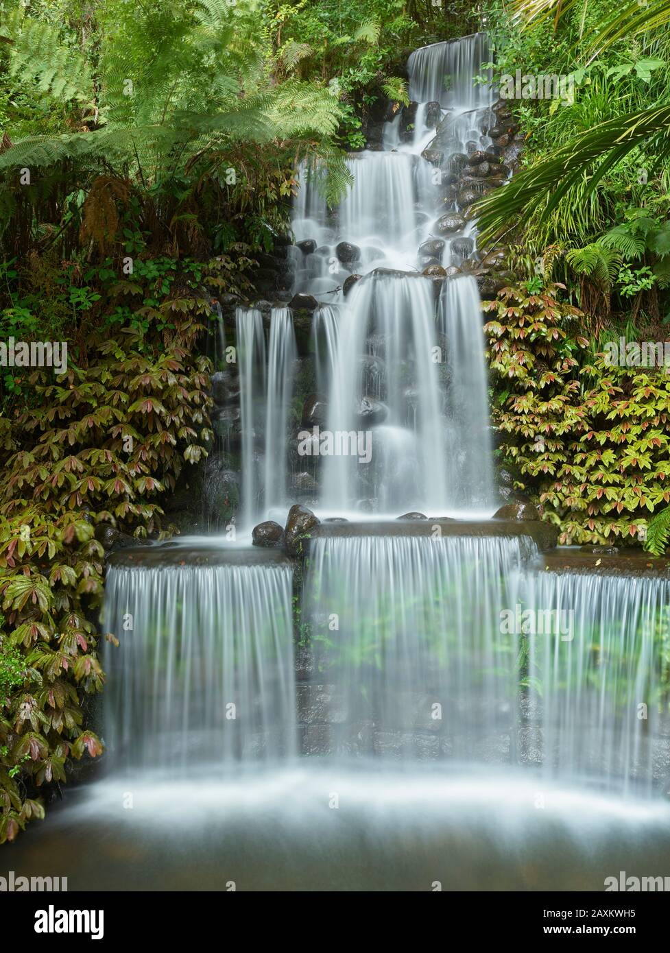 Künstlicher Wasserfall im Pukekura Park, New Plymouth, Taranaki, North Island, Neuseeland, Oceania Stockfoto