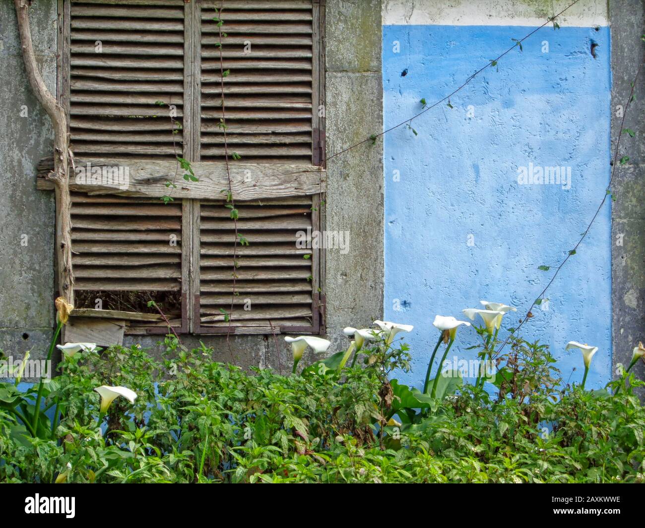 Sehenswürdigkeiten in Santana an der Wintersonnenlage von Madeira, Portugal, Europäische Union Stockfoto