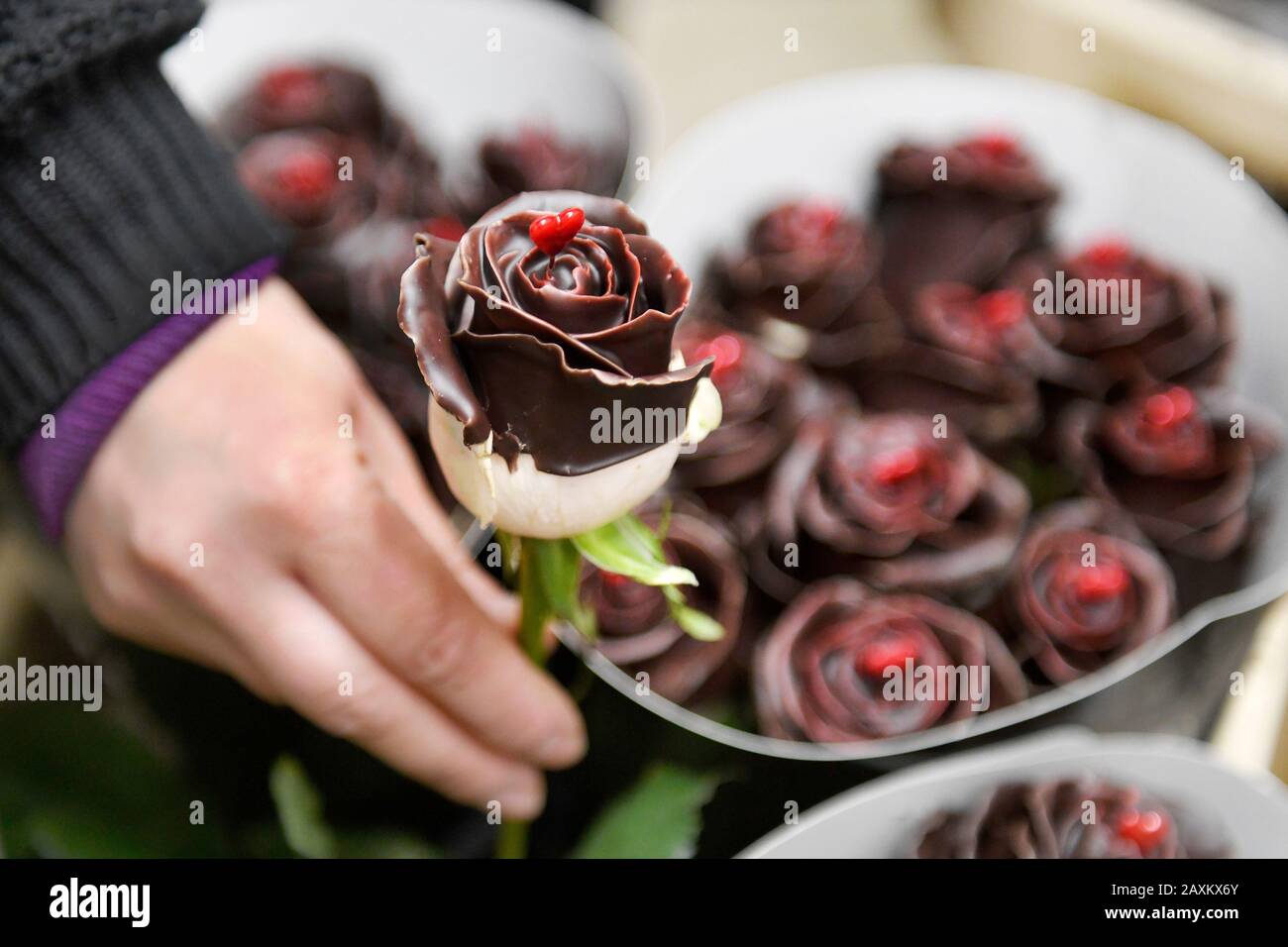 Etwa 4500 Blumensträuße, meist Rosen, werden in drei Tagen um den Valentinstag 2020 von Kurieren des Unternehmens Florea verteilt. Das Bild vom 11. Februar 2020 zeigt die Verpackung und Zubereitung von bestellten Blumensträußen in der Kühlhalle in Pilsen-Krimice. (CTK Foto/Miroslav Chaloupka) Stockfoto