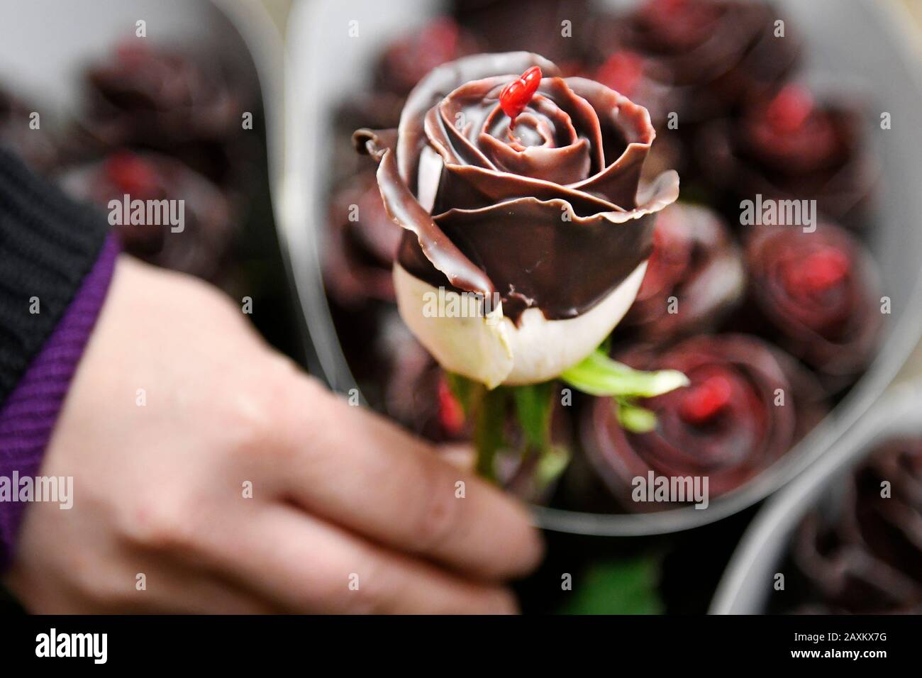 Etwa 4500 Blumensträuße, meist Rosen, werden in drei Tagen um den Valentinstag 2020 von Kurieren des Unternehmens Florea verteilt. Das Bild vom 11. Februar 2020 zeigt die Verpackung und Zubereitung von bestellten Blumensträußen in der Kühlhalle in Pilsen-Krimice. (CTK Foto/Miroslav Chaloupka) Stockfoto