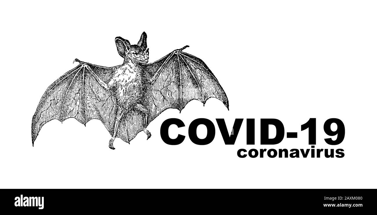 Coronavirus COVID-19 - 2019 Coronavirus Disease Stockfoto