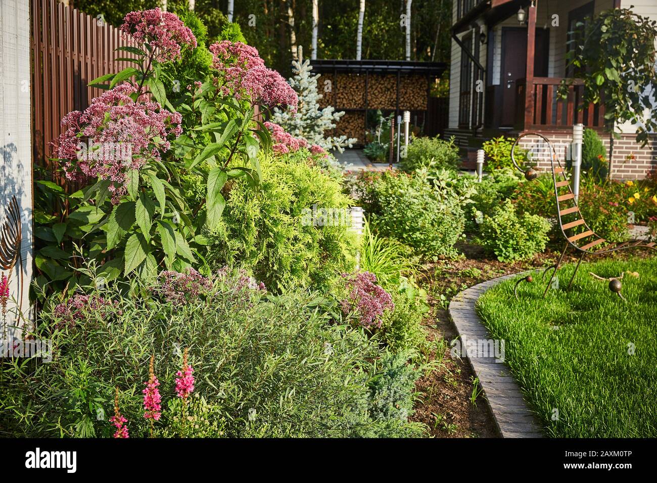 Eupatorium cannabine blütenstände des Kopfes im Garten mit Landschaftsgestaltung und grünem Gras Stockfoto