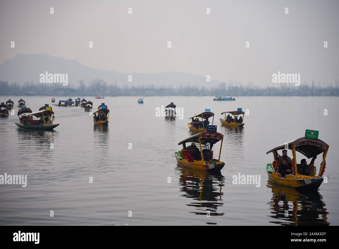 Mitglieder der Delegation ausländischer Gesandter genießen Shikara-Fahrt am Dal Lake in Srinagar.EINE neue Reihe von 25 ausländischen Gesandten aus der Europäischen Union und den Golfländern ist heute in Srinagar angekommen. Ziel des Besuches der Gesandten ist es, nach der Aufhebung von Artikel 370 im August letzten Jahres aus erster Hand über die Bodenlage zu informieren. Dies ist die zweite Tour der ausländischen Delegierten nach Jammu und Kaschmir. Die Charge umfasst Gesandte aus Deutschland, Kanada, Frankreich, Neuseeland, Mexiko, Italien, Afghanistan, Österreich, Usbekistan, Polen sowie Gesandte der Europäischen Union. Stockfoto