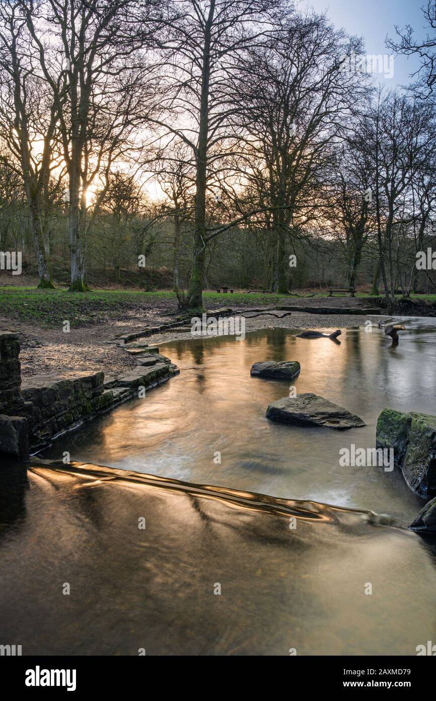 Blackpool Brook am Picknickplatz Wenchford im Forest of Dean, Gloucestershire, England. Stockfoto