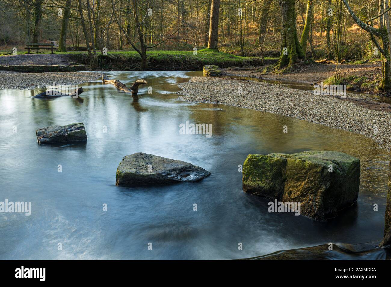 Blackpool Brook am Picknickplatz Wenchford im Forest of Dean, Gloucestershire, England. Stockfoto